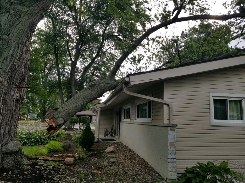 Emergency storm tree removal service with crane assistance in Cleveland, Ohio