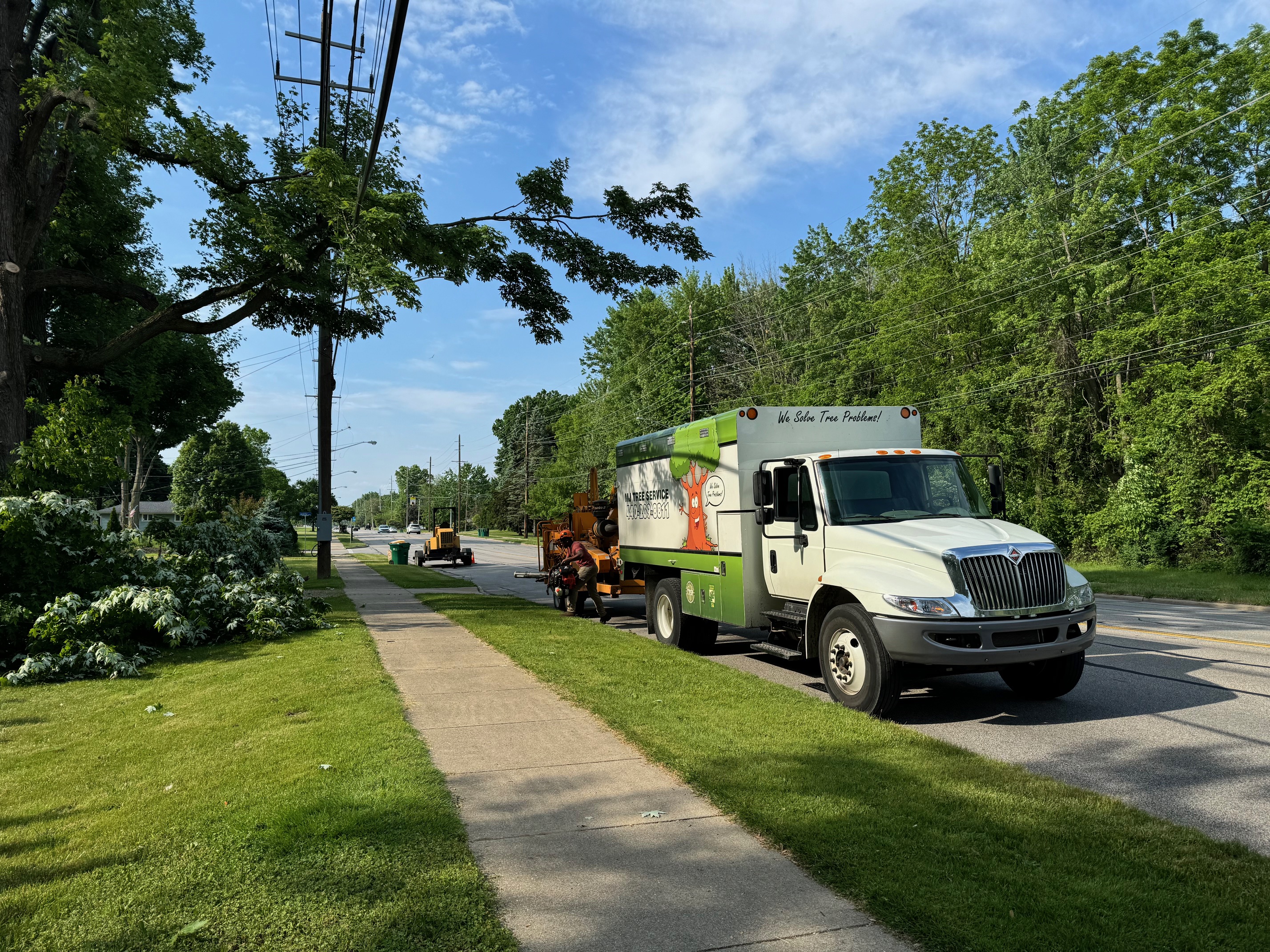 Hazardous tree removal by wires in Mentor, OH