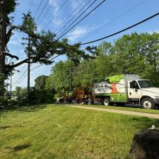 Hazardous-tree-removal-by-wires-in-Mentor-OH 2