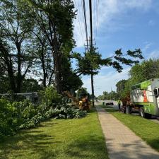 Hazardous-tree-removal-by-wires-in-Mentor-OH 1