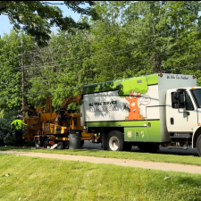 Hazardous-tree-removal-by-wires-in-Mentor-OH 3