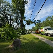 Hazardous-tree-removal-by-wires-in-Mentor-OH 4