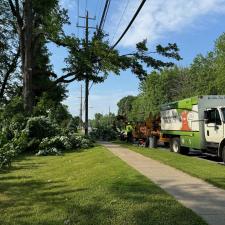 Hazardous-tree-removal-by-wires-in-Mentor-OH 0