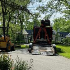 Hazardous-Tree-Removal-In-Gates-Mills-Ohio 1