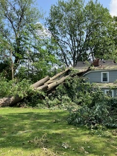 Storm Damage in Mentor, Ohio