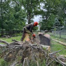 Storm-damage-tree-and-stump-removal-in-Euclid 0