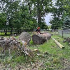 Storm-damage-tree-and-stump-removal-in-Euclid 3