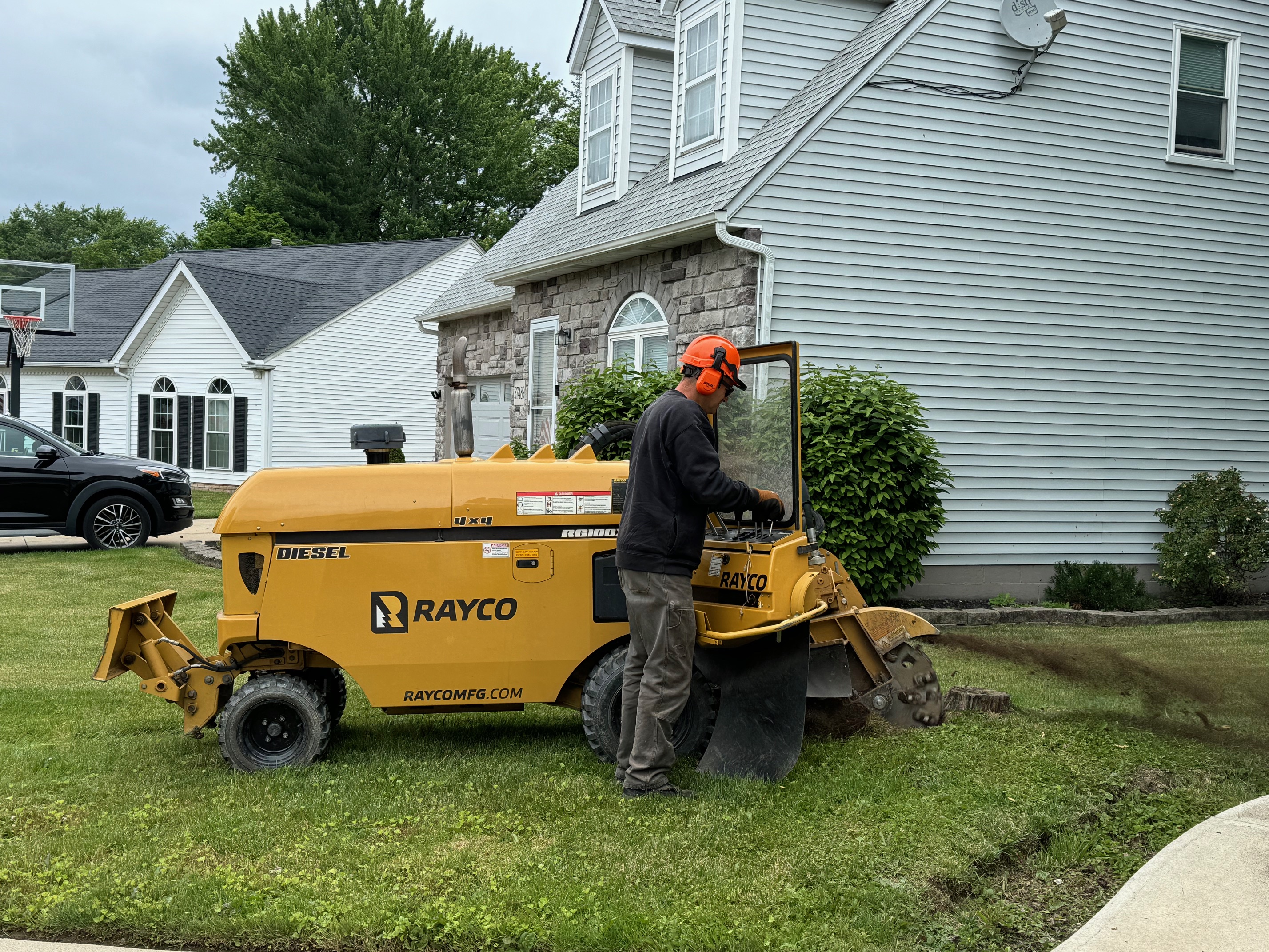 Stump Grinding in Willoughby