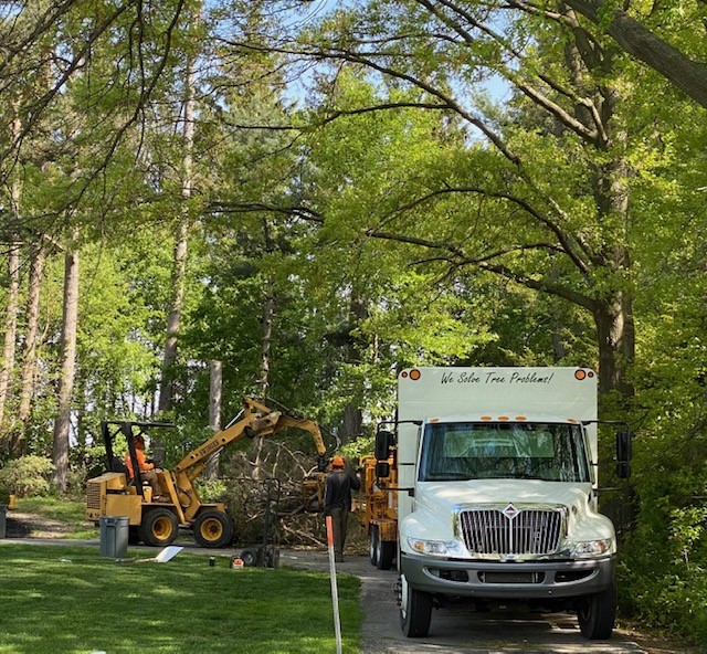 Top Tree Removal Company in Willoughby Hills, Ohio