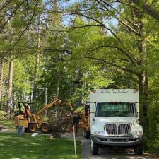 Top-Tree-Removal-Company-in-Willoughby-Hills-Ohio 0