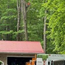 Tree-Removal-in-Concord-Township-Ohio 2