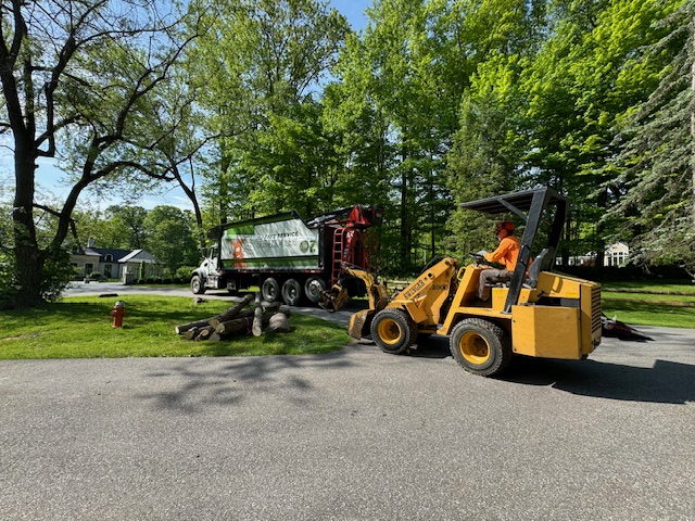 Tree Removal in Gates Mills
