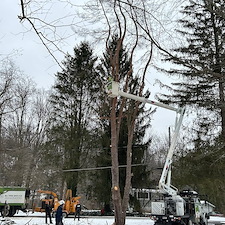 Winter-Tree-Removal-in-Pepper-Pike 2