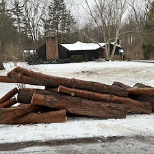 Winter-Tree-Removal-in-Pepper-Pike 1